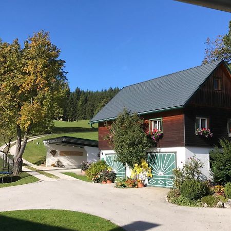 Ferienhaus Zwickelreith Göstling an der Ybbs Exterior photo