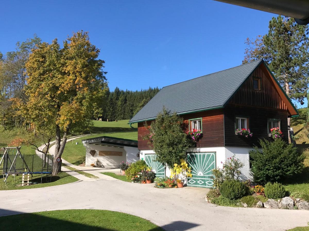 Ferienhaus Zwickelreith Göstling an der Ybbs Exterior photo