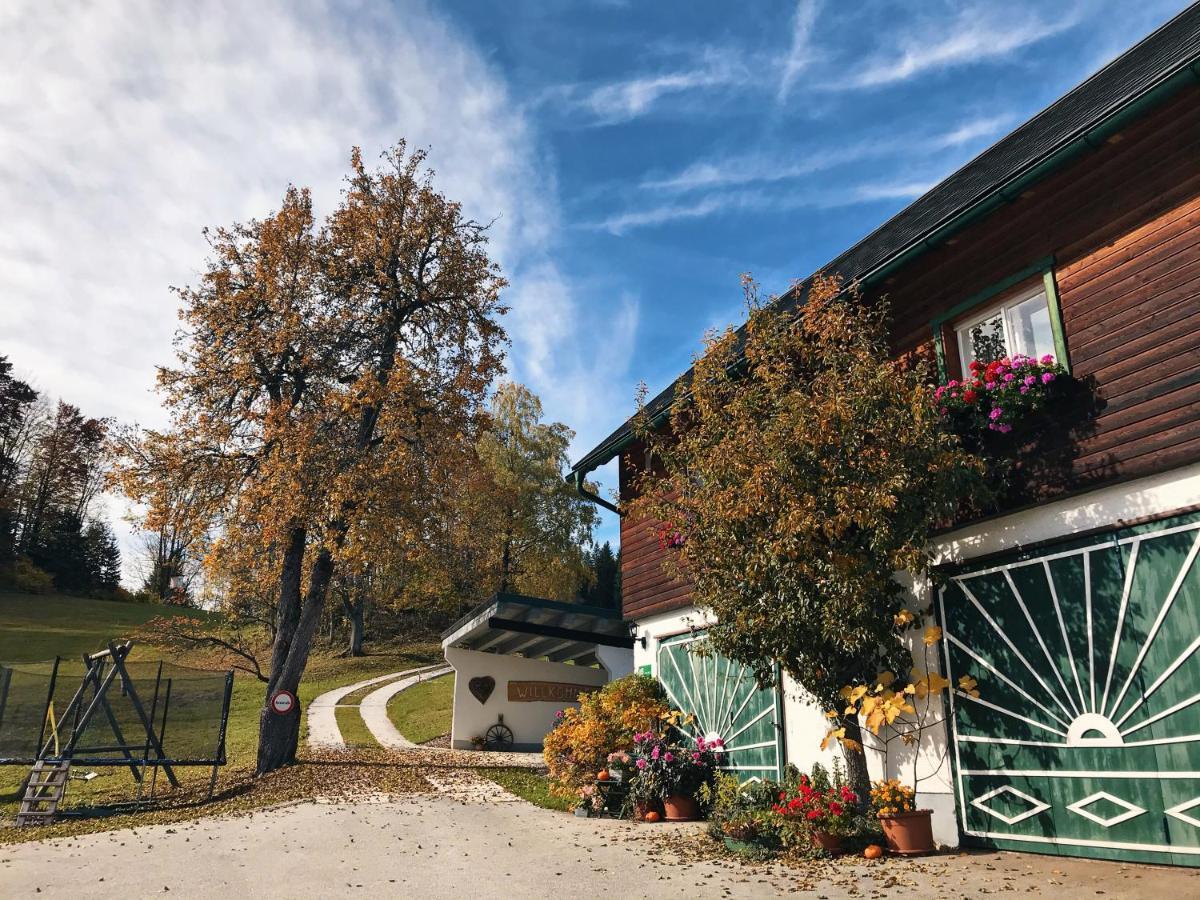 Ferienhaus Zwickelreith Göstling an der Ybbs Exterior photo